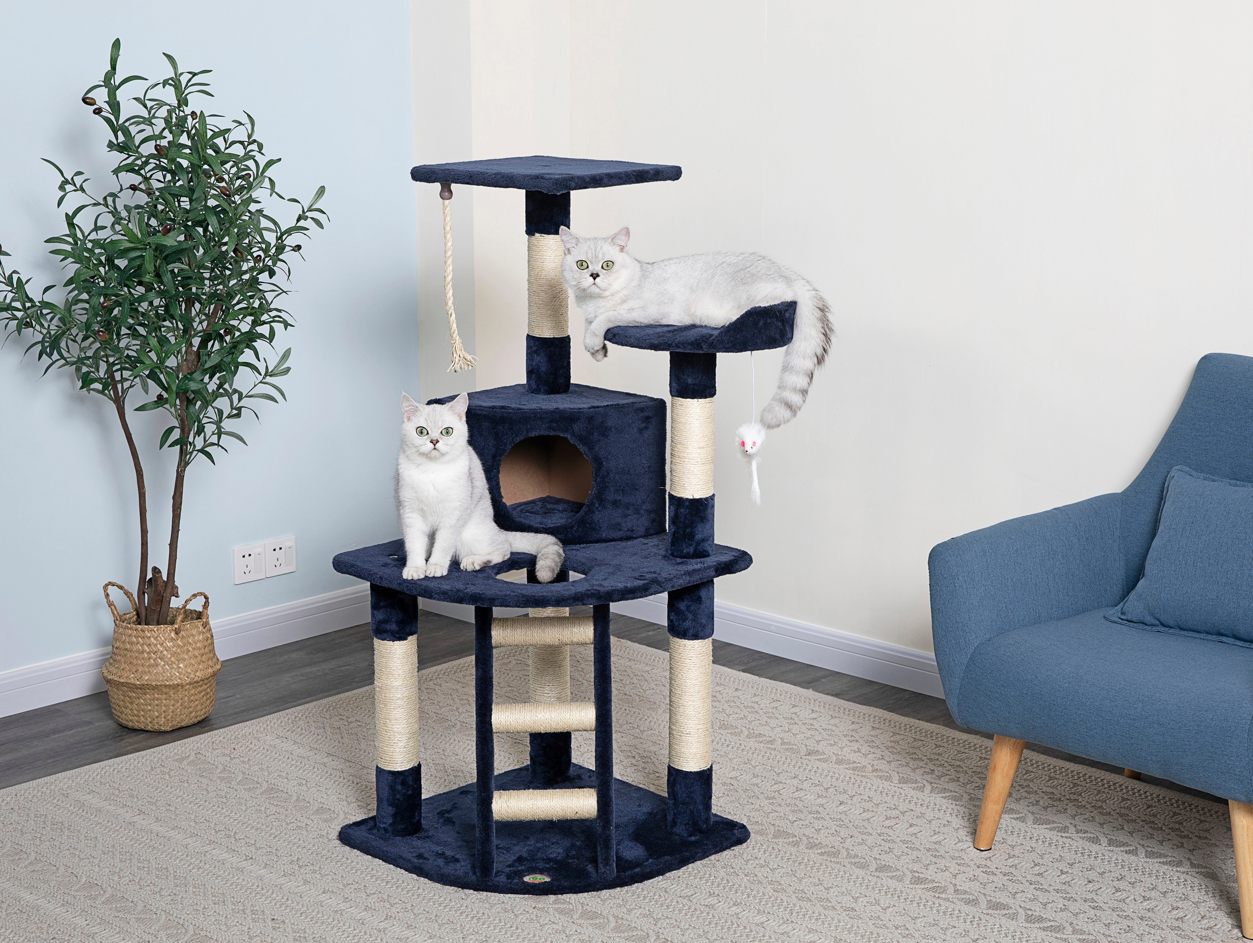 48" Cat Tree Condo [*]