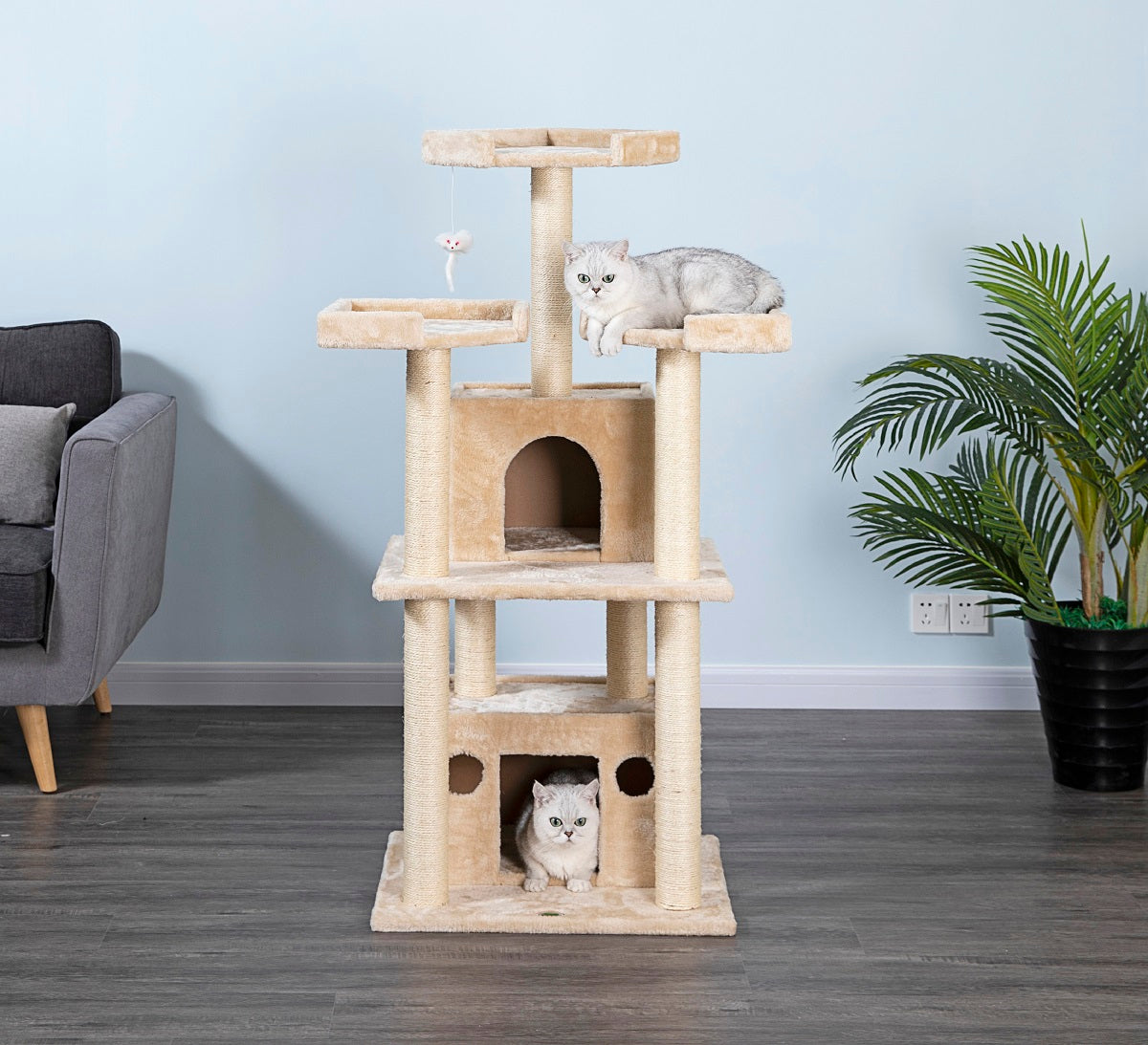 51" Cat Tree Condo Furniture [F39]