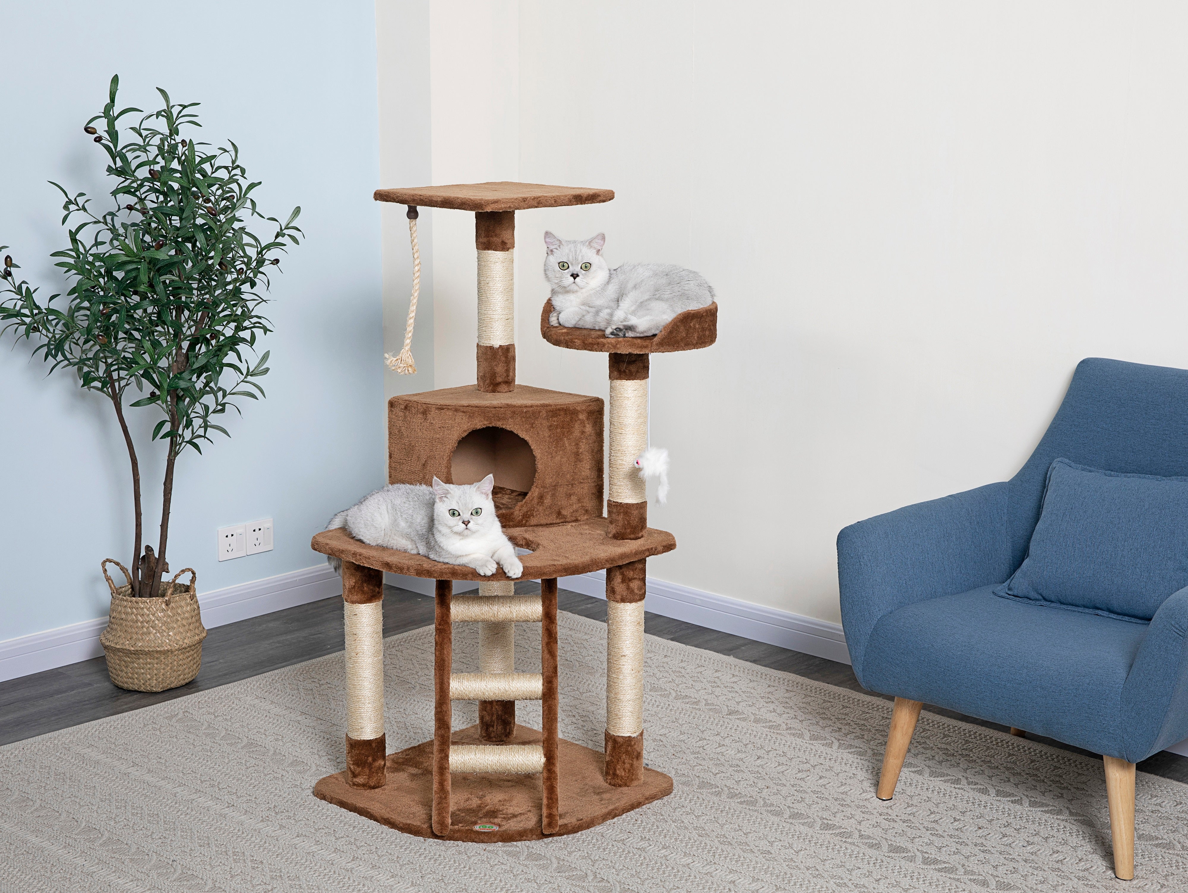 48" Cat Tree Condo [*]