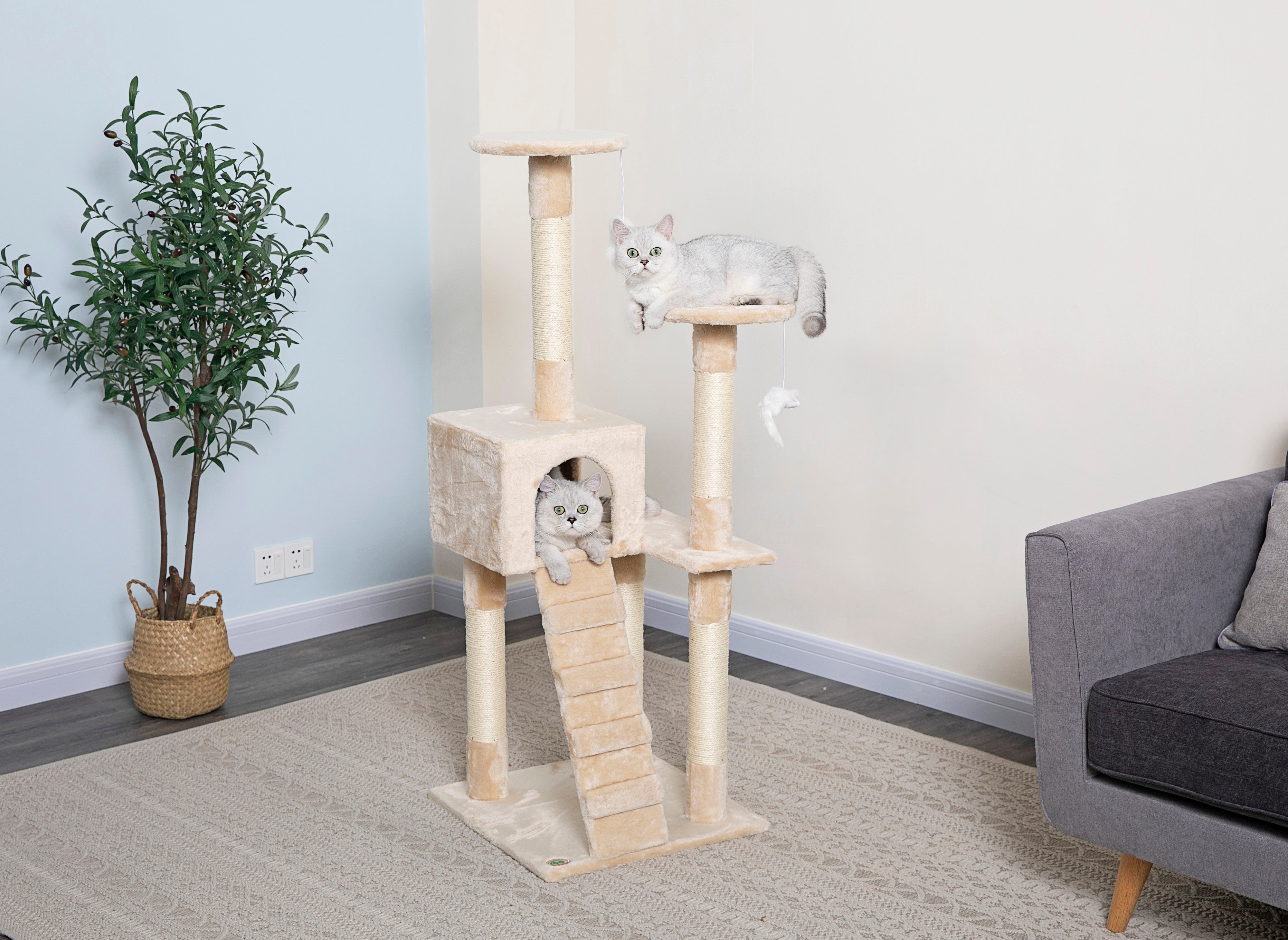 52" Cat Tree Condo [*]