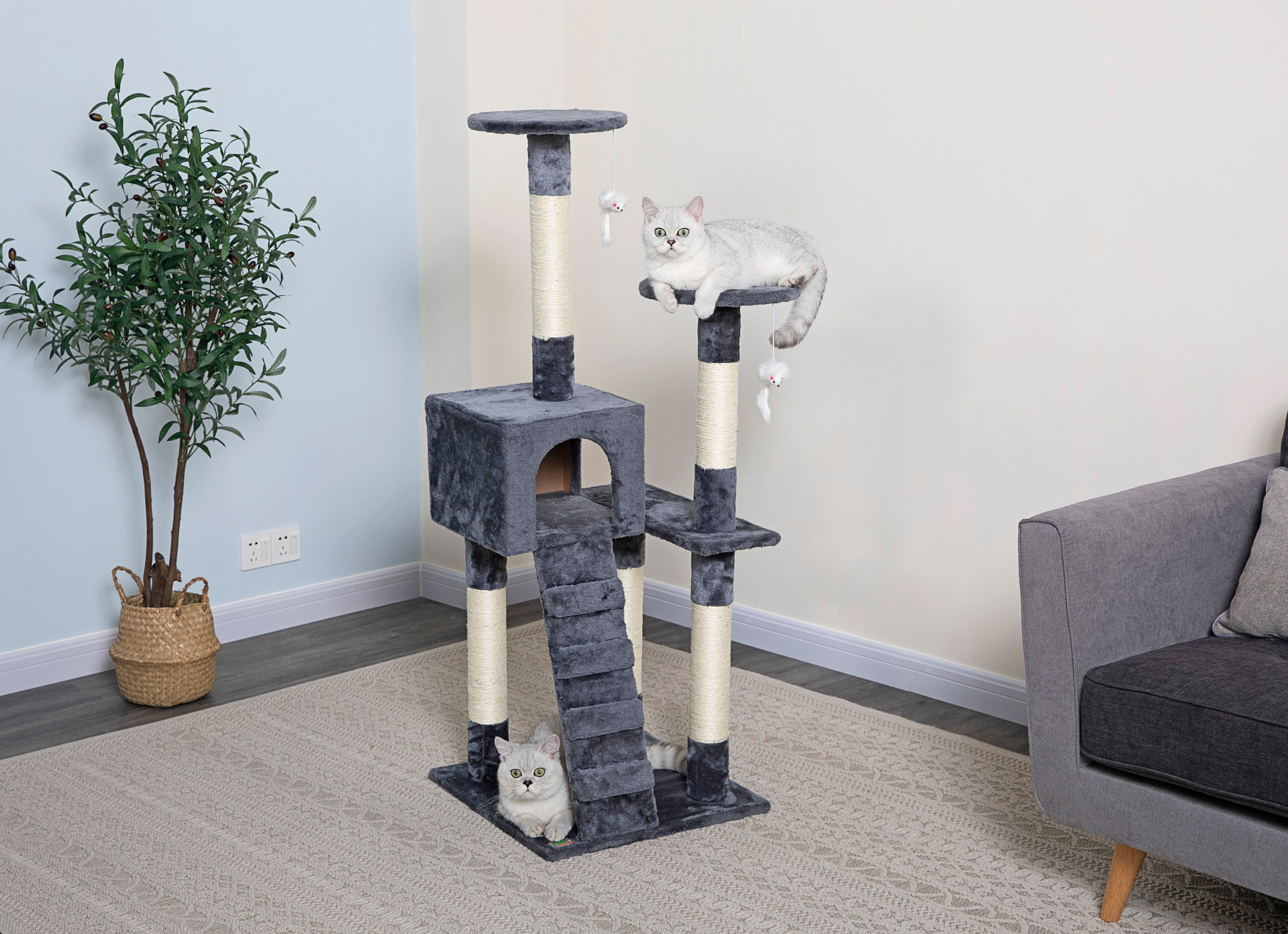 52" Cat Tree Condo [*]