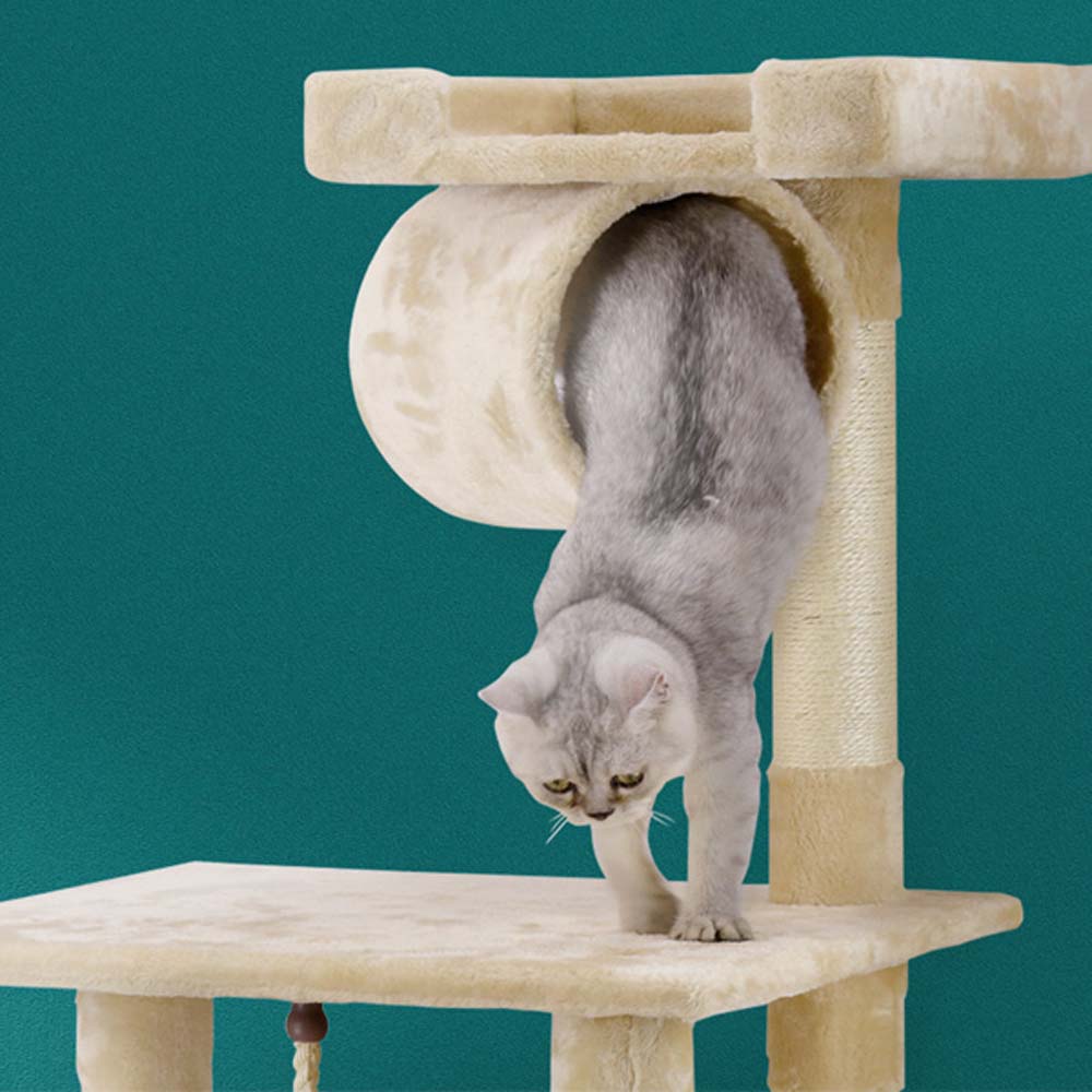 62" Cat Tree [*]