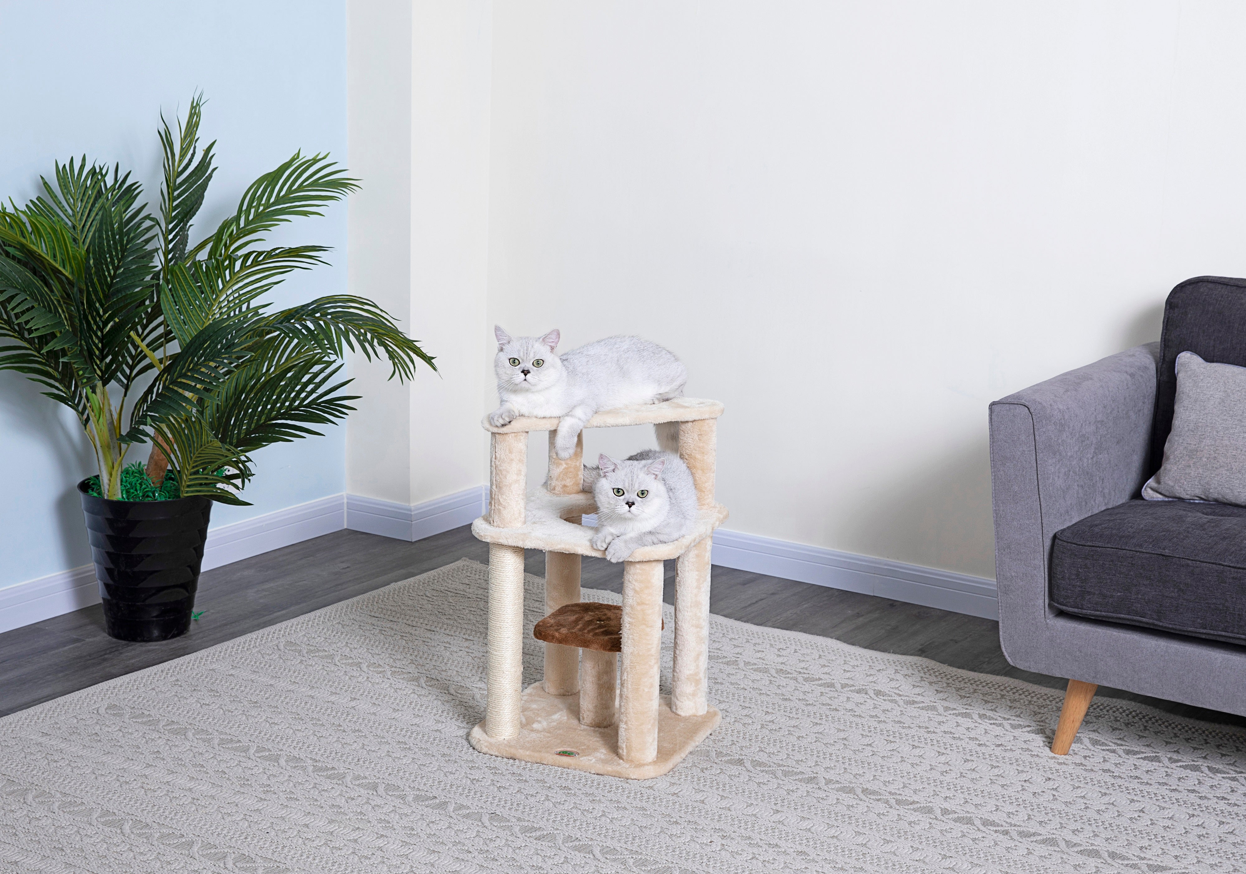 25" Cat Tree Condo [F702]