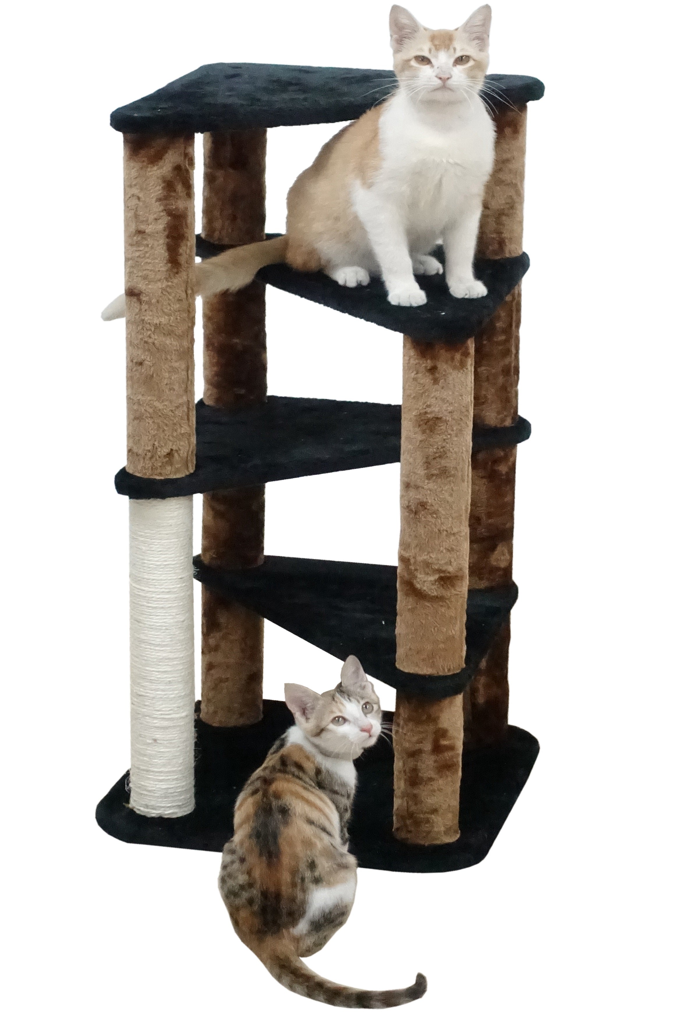 33" Cat Tree Condo [F703]