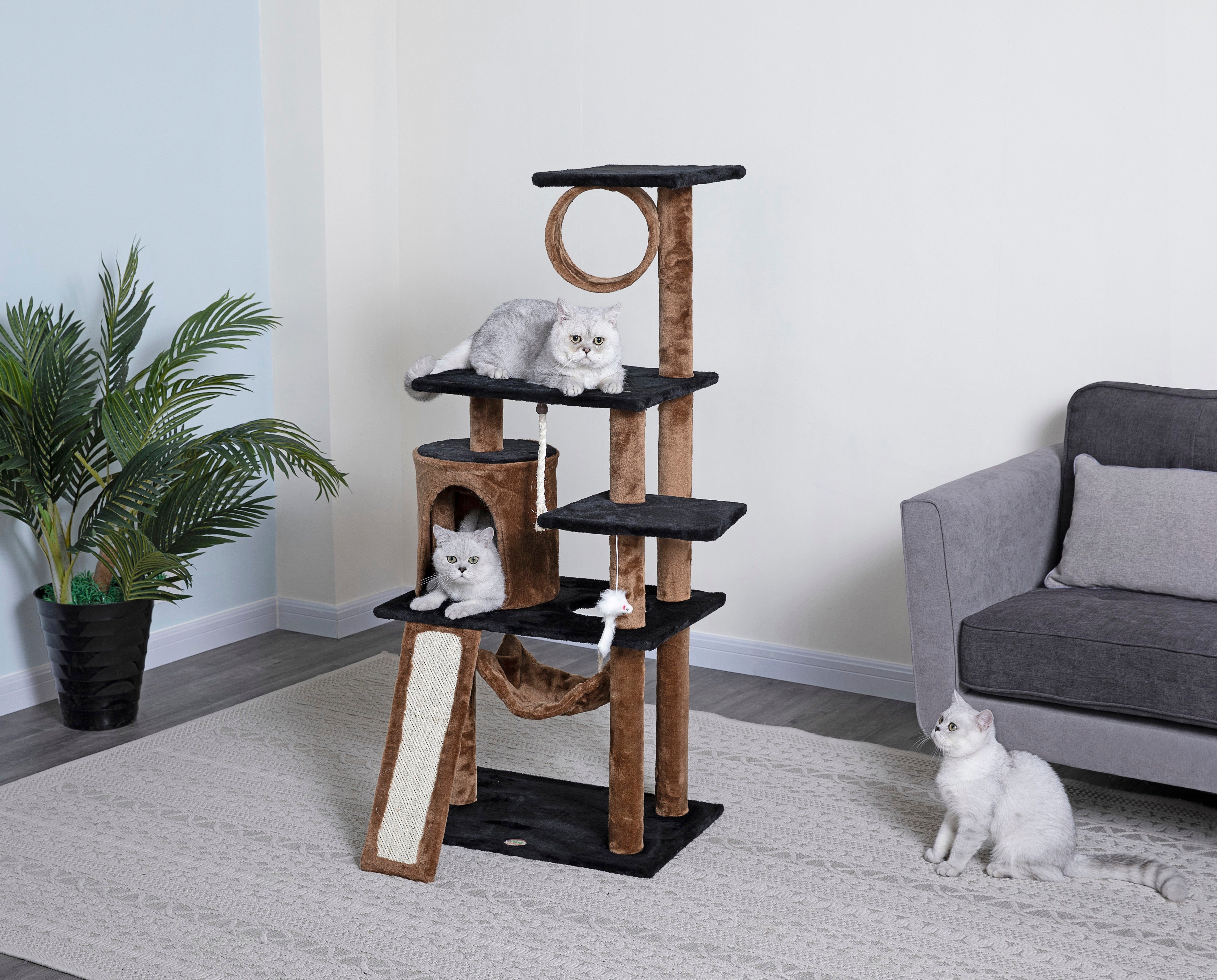 53" Kitten Cat Tree [*]