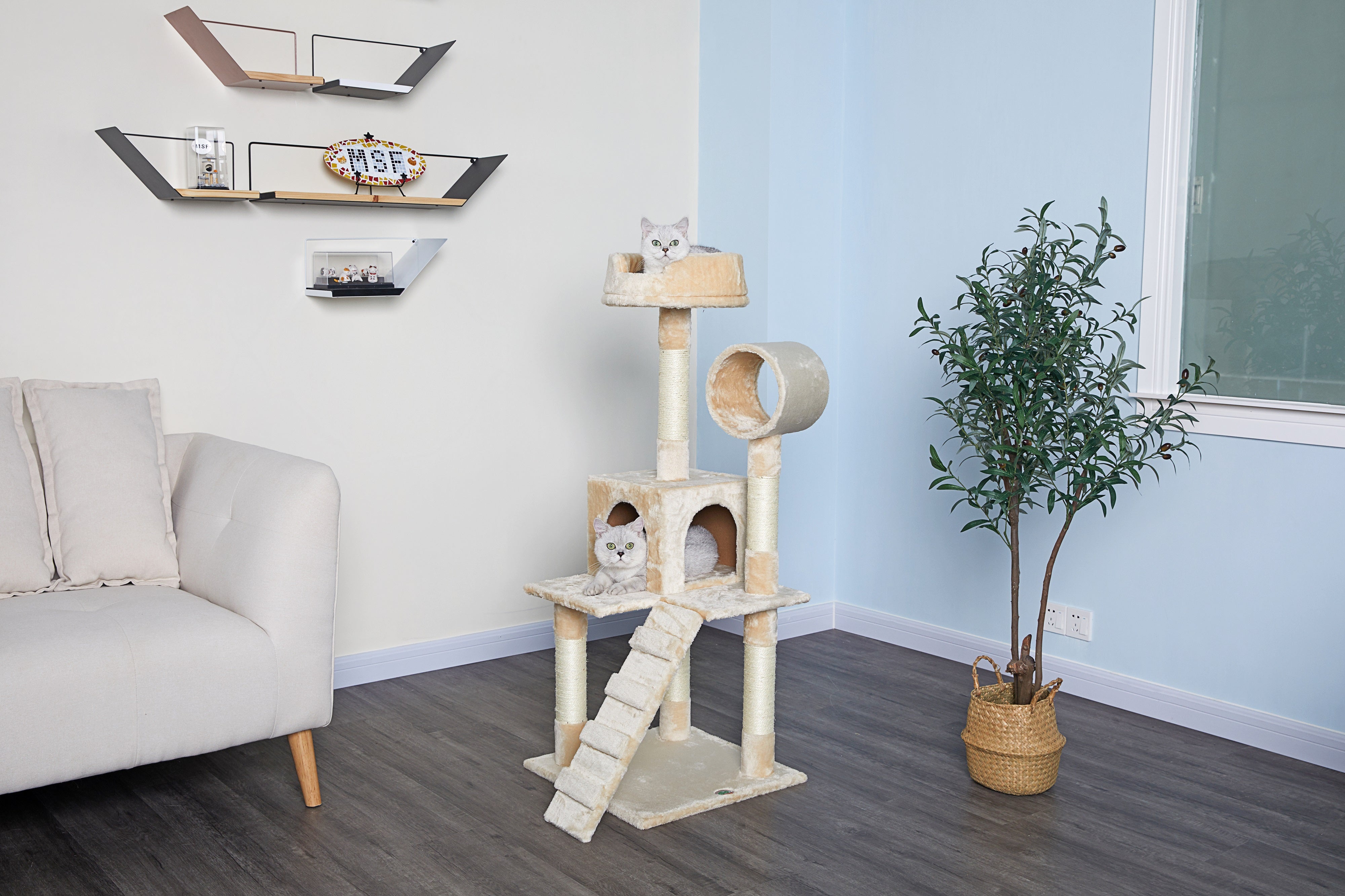 50" Cat Tree Condo [*]