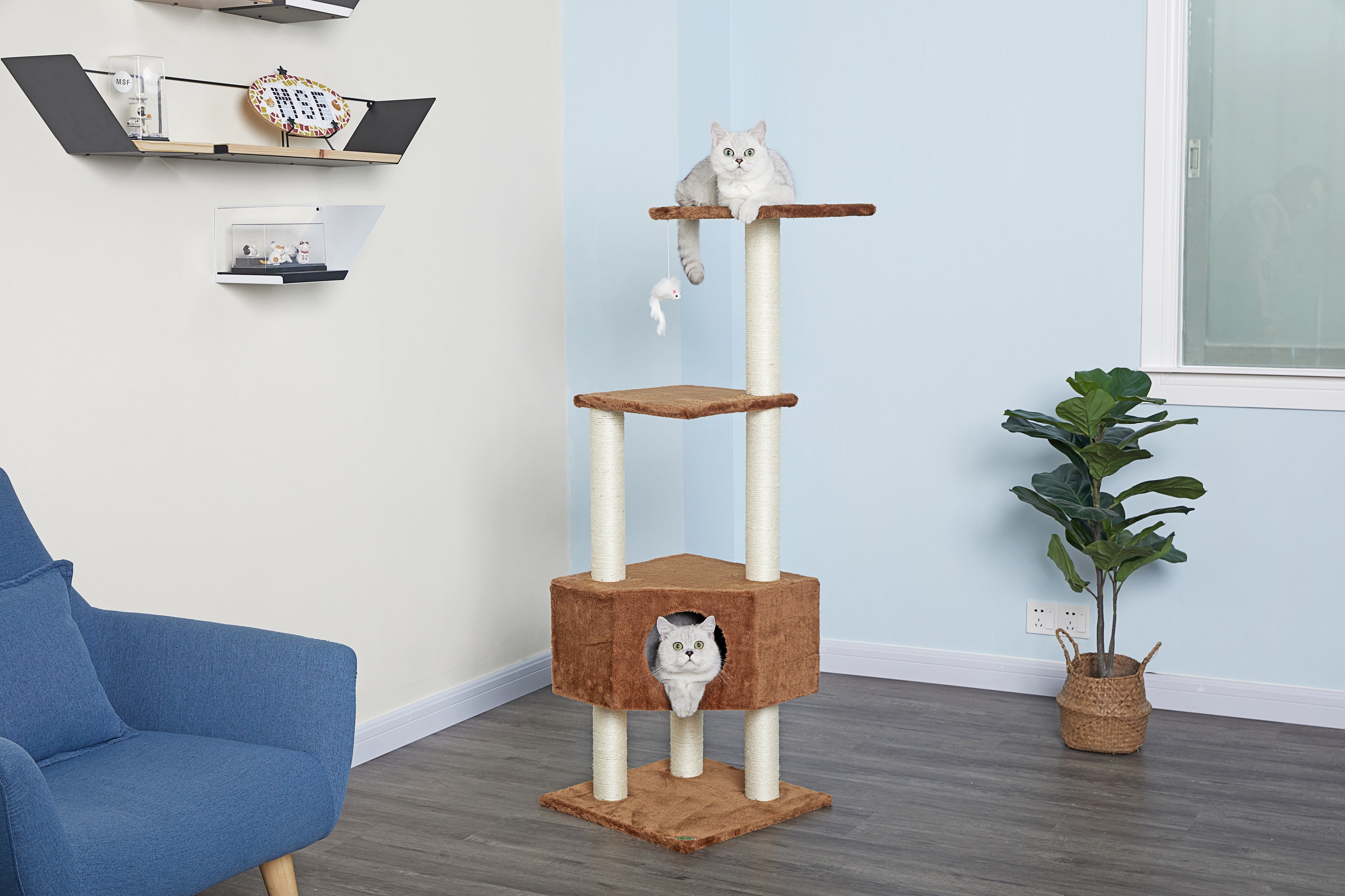 51" Cat Tree Condo [*]