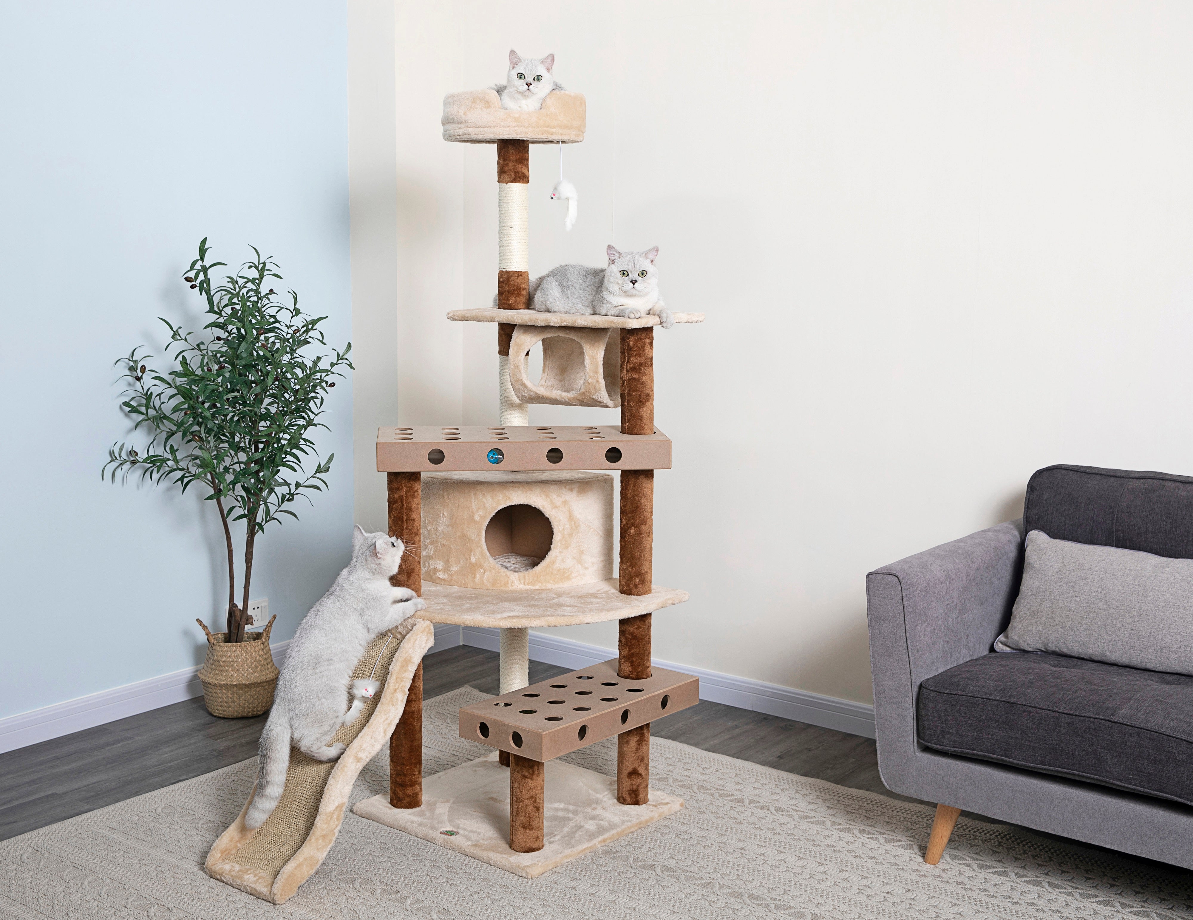 70” IQ Box Cat Tree [SF054]