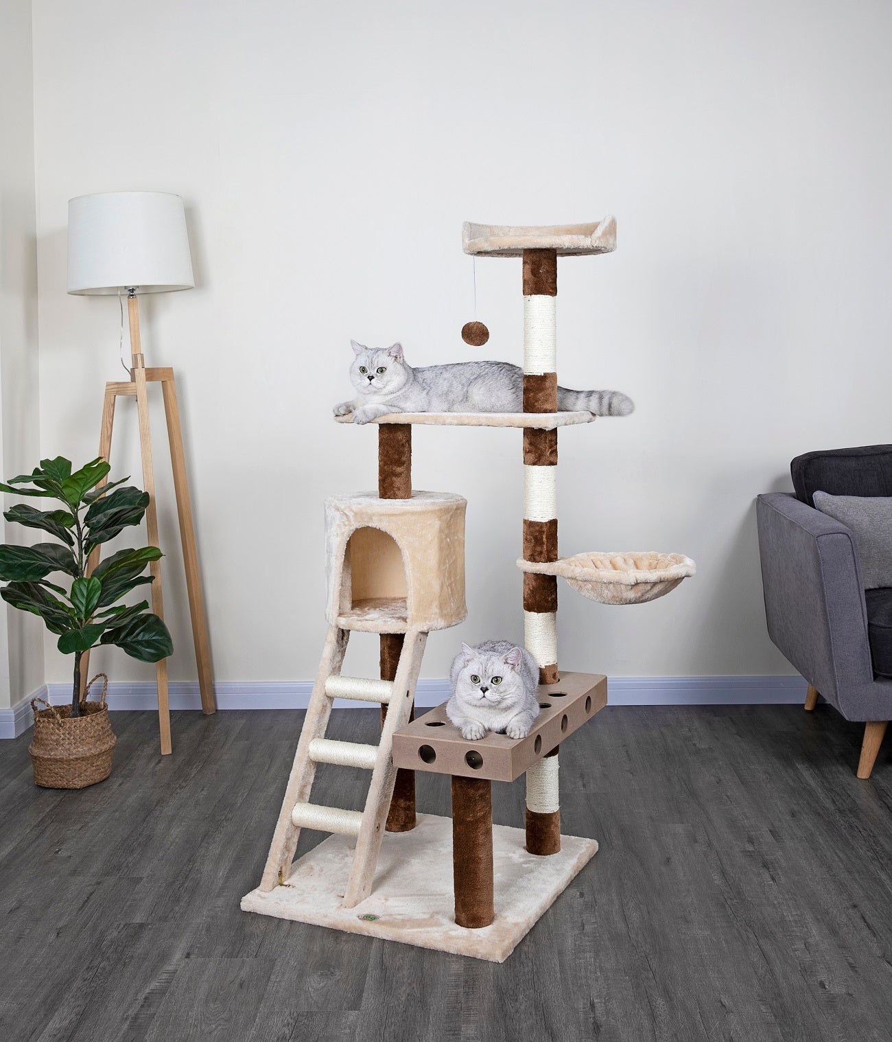 59” IQ Box Cat Tree [SF065]