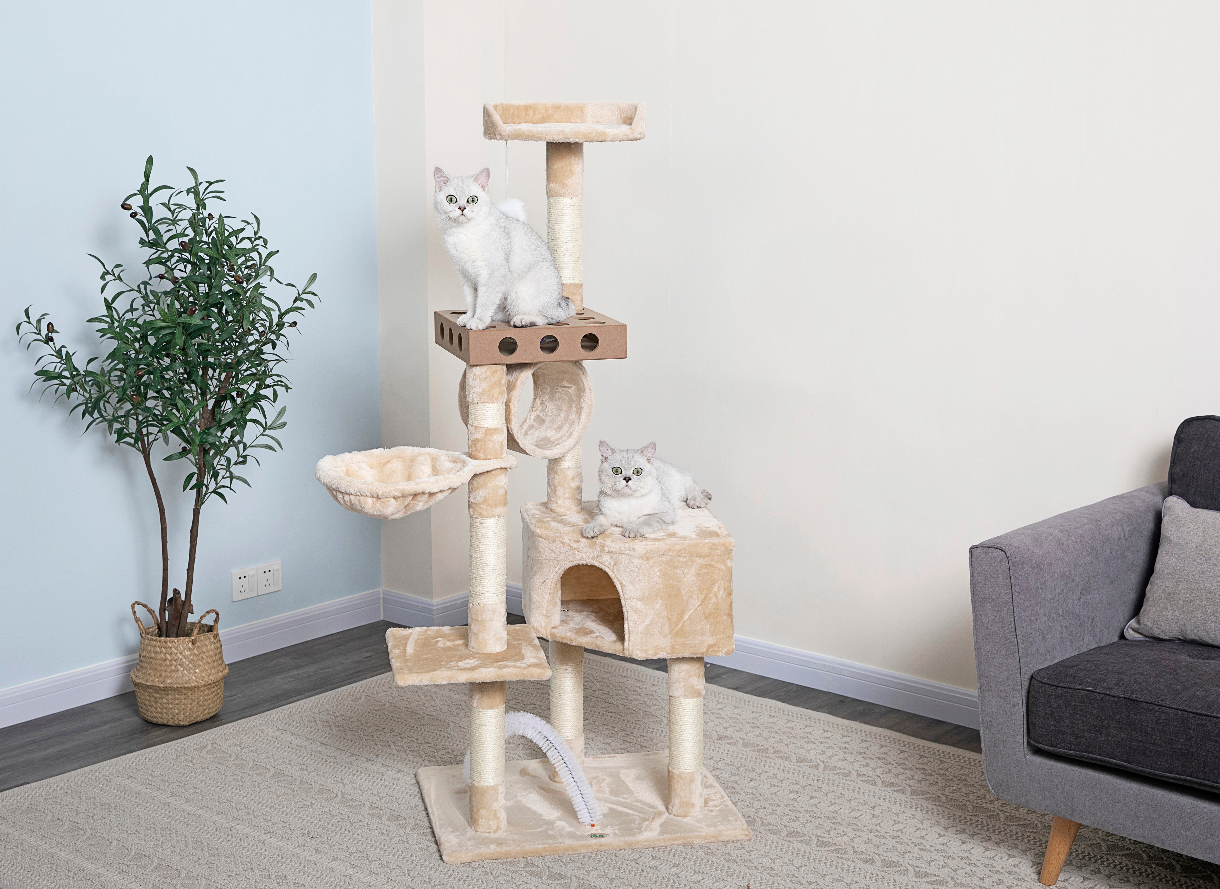 60” IQ Box Cat Tree [SF066]