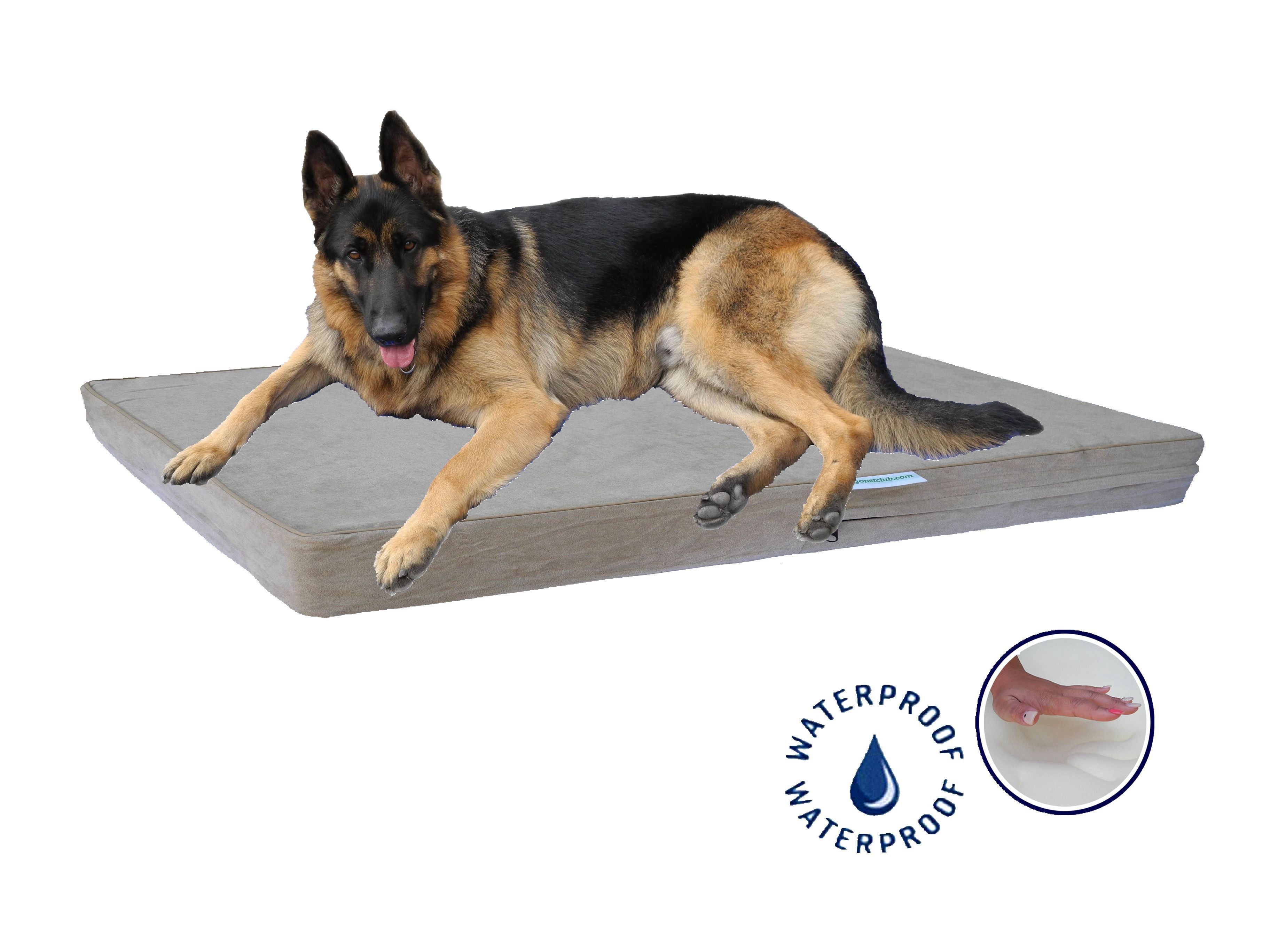 4" Solid Memory Foam Bed with Waterproof Cover (Available in 25" to 55") - Khaki[*]