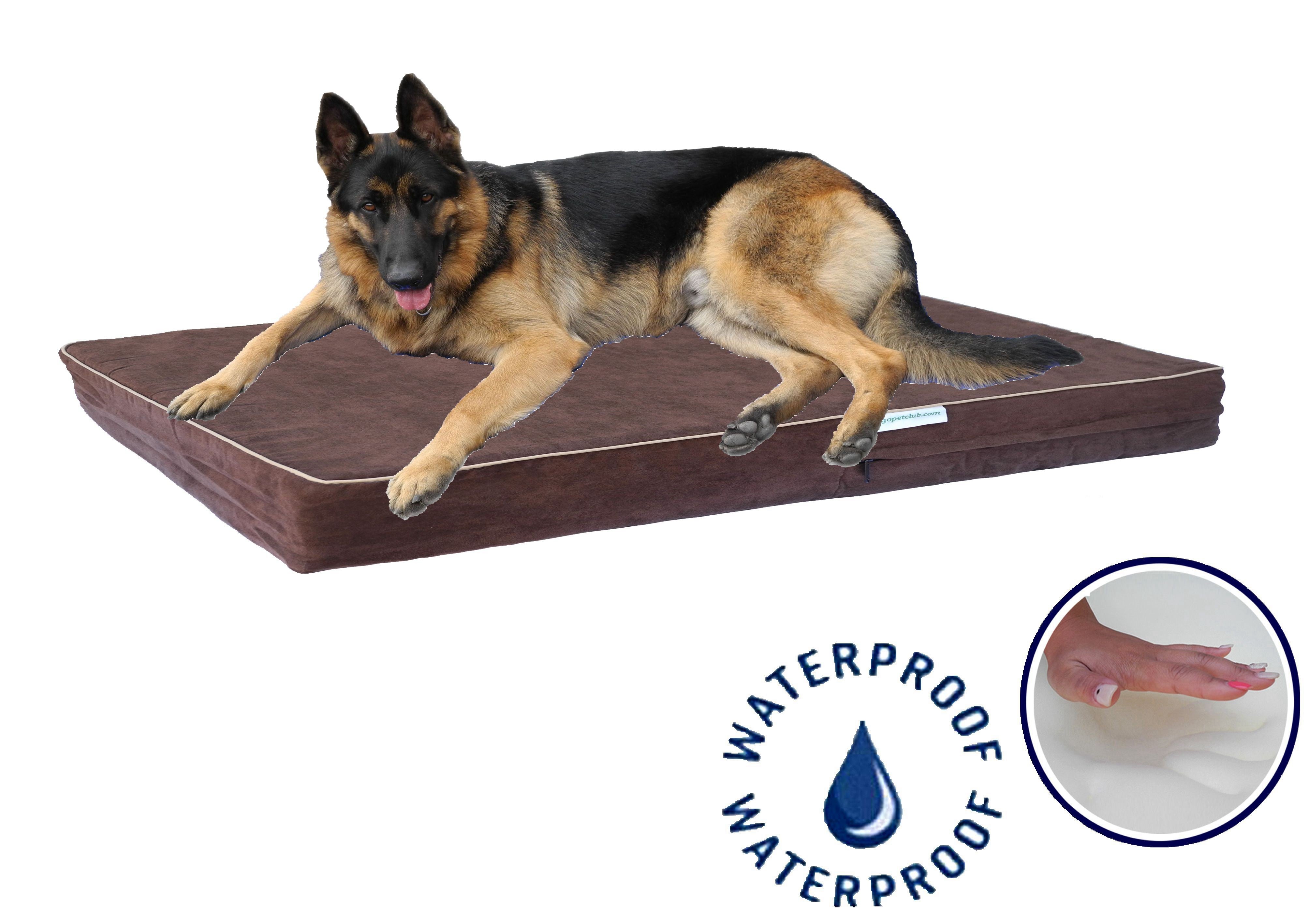 4" Solid Memory Foam Bed with Waterproof Cover (Available in 25" to 55") - Chocolate[*]